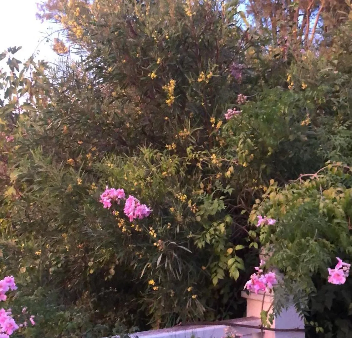 Finca El Rio,, La Casita One Of 2 Self Catering Studios. Pool And Hydrotherapy Jacuzzi Malaga Apartment